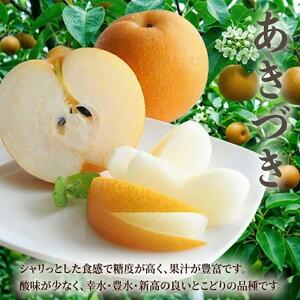 ふるさと納税 【 JA 北つくば 】 筑西ブラ...の詳細画像1