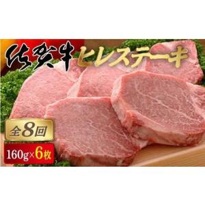 ふるさと納税 佐賀牛ヒレステーキ 計7.6kg (160g×6枚×8回) 佐賀県大町町