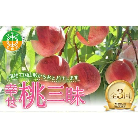 ふるさと納税 2026年先行予約 【定期便 3回】幸せ♪桃三昧 白桃 黄桃 果物 フルーツ 山形県 ...