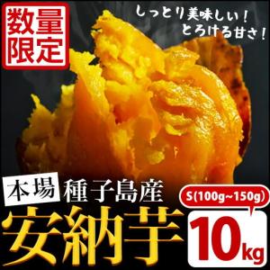 ふるさと納税 安納芋 Sサイズ・10kg 紅 さつまいも 数量限定 種子島産 【JA種子屋久】n230 鹿児島県中種子町