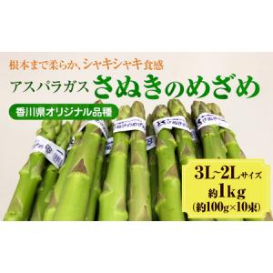 ふるさと納税 2027年初物予約!アスパラガス【...の商品画像