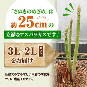 ふるさと納税 2027年初物予約!アスパラガス...の詳細画像1