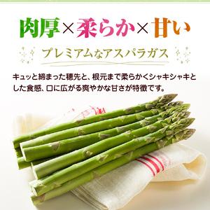 ふるさと納税 2027年初物予約!アスパラガス...の詳細画像2