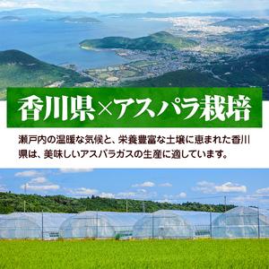 ふるさと納税 2027年初物予約!アスパラガス...の詳細画像3