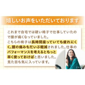ふるさと納税 【2ヵ月発送】【パープル】チェア...の詳細画像4