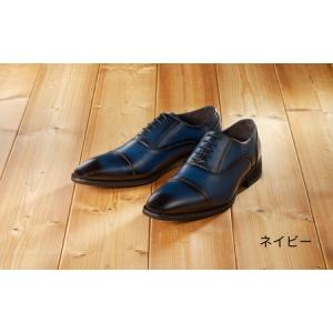 ふるさと納税 【匠の靴】超軽量＆履き心地抜群な本革ビジネスシューズAF-01(サイズ：27.5cm、カラー：ネイビー)_0019-001-T03-3-7 東京都台東区