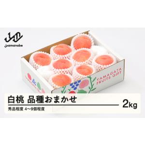 ふるさと納税 【先行予約】もも 桃 品種おまかせ 白桃 秀品程度 約2kg(4~9個程度) 2026年 山形県産 tf-moyws2 山形県山辺町