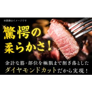 ふるさと納税 【10回定期便】ヒレ シャトーブ...の詳細画像3