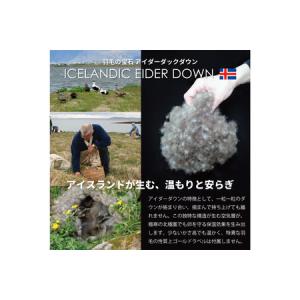 ふるさと納税 【春夏用】最高級 軽量 羽毛布団...の詳細画像3