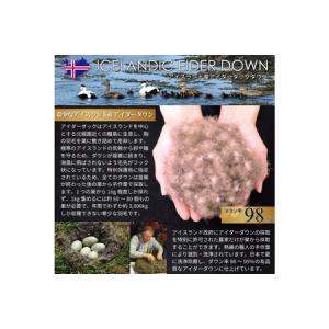 ふるさと納税 【春夏用】最高級 軽量 羽毛布団...の詳細画像2