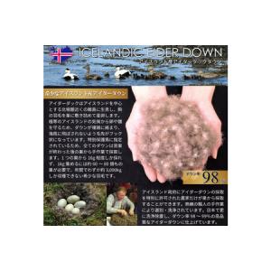 ふるさと納税 【冬用】最高級 軽量 羽毛布団 ...の詳細画像2