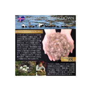 ふるさと納税 【中厚】最高級 軽量 羽毛布団 ...の詳細画像2