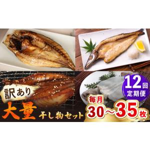 ふるさと納税 【全12回定期便】【訳あり】 干物 セット [JAQ023] ひもの 長崎県壱岐市
