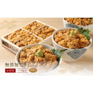 ふるさと納税 【12/16までの寄附で年内配送】「うにむらかみ」無添加生うにお得用バラ詰め250g HOKT003 北海道北斗市｜ふるなび(ふるさと納税)