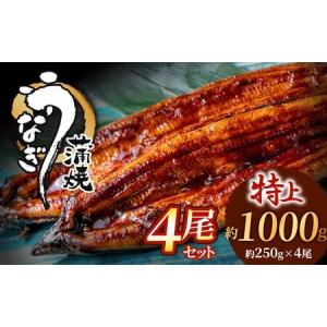 ふるさと納税 うなぎ蒲焼き 4尾セット(約250g×4尾セット) _HA1494 | うなぎ 鰻 福岡県宗像市