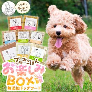 ふるさと納税 ペットフード 無添加ドッグフード・ブルズごはんお楽しみBOX_無添加ドッグフード 詰合...