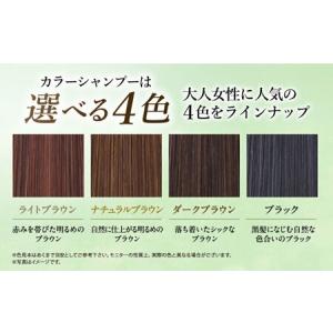 ふるさと納税 【10本入】[白髪用]利尻カラー...の詳細画像2