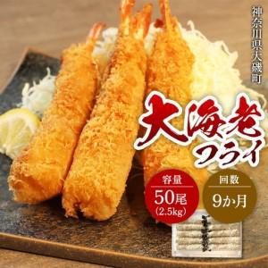ふるさと納税 【定期便9か月】大海老フライ5０尾（約2.5kｇ）【 エビフライ 海老フライ エビ 海老 フライ 冷凍 冷凍食品 神奈川県 大磯町 ブラ.. 神奈川県大磯町