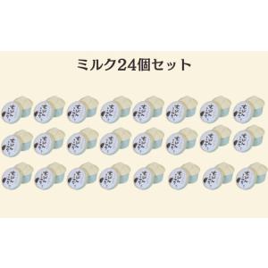 ふるさと納税 定期便12回 無添加ジェラート ...の詳細画像3
