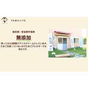ふるさと納税 定期便12回 無添加ジェラート ...の詳細画像1