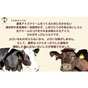 ふるさと納税 定期便12回 無添加ジェラート ...の詳細画像2