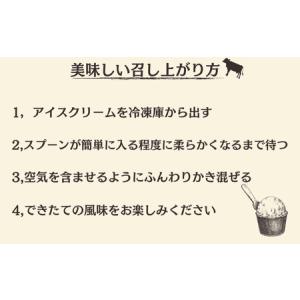 ふるさと納税 定期便12回 無添加ジェラート ...の詳細画像4