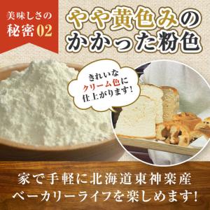 ふるさと納税 【隔月6カ月(奇数月お届け)】東...の詳細画像3