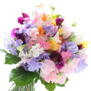ふるさと納税 季節の花束と花瓶のセット Mサイ...の詳細画像3