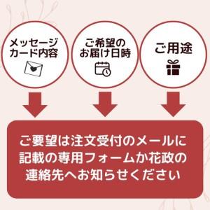 ふるさと納税 トップフローリスト厳選の胡蝶蘭 ...の詳細画像2