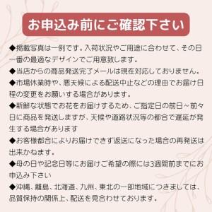 ふるさと納税 トップフローリスト厳選の胡蝶蘭 ...の詳細画像3