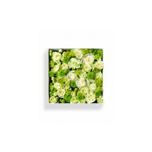 ふるさと納税 【お花の定期便】「季節毎」に届く...の詳細画像1