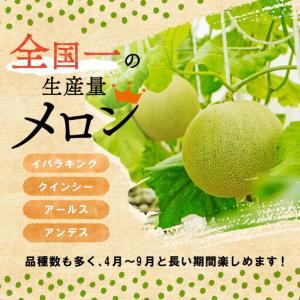 ふるさと納税 焼き干し芋600g(200g×3...の詳細画像3