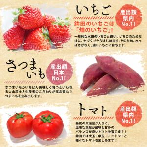 ふるさと納税 焼き干し芋600g(200g×3...の詳細画像4