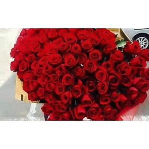ふるさと納税 《記念日に届くお花シリーズ》赤バラの花束 108本「結婚して下さい」※配達エリア限定【記念日に届くお花 108本 世界らん展 フ.. 神奈川県小田原市