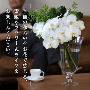 ふるさと納税 「毎週」届く、旬の花束(52回/...の詳細画像3