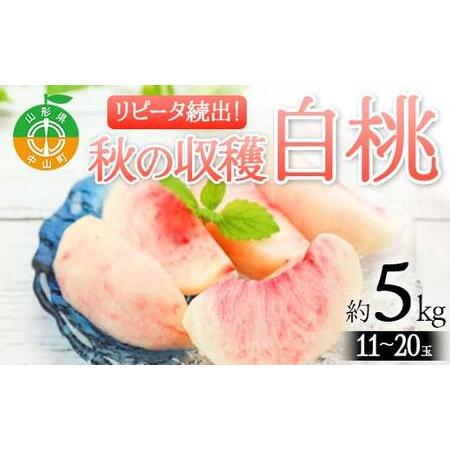ふるさと納税 《2026年先行予約》山形県産 リピータ続出！秋の収穫 白桃 約5kg（11〜20玉）...