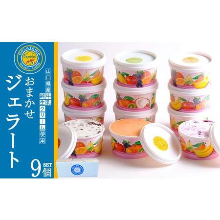 ふるさと納税 ジェラート 9個セット おまかせジェラート KE006 山口県下関市