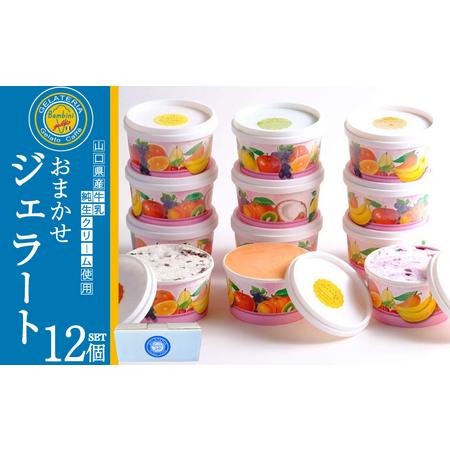 ふるさと納税 ジェラート 12個 セット おまかせジェラート KE001-3 山口県下関市