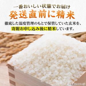 ふるさと納税 【全12回定期便】令和8年産 新...の詳細画像3