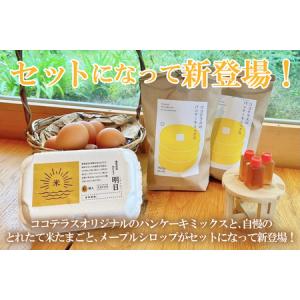 ふるさと納税 ココテラスの絶品パンケーキミック...の詳細画像2