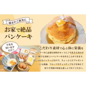 ふるさと納税 ココテラスの絶品パンケーキミック...の詳細画像3
