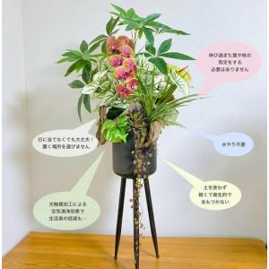 ふるさと納税 人工観葉植物 天然流木アート『パ...の詳細画像1