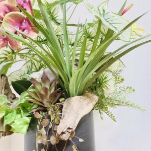 ふるさと納税 人工観葉植物 天然流木アート『パ...の詳細画像3