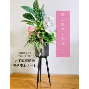 ふるさと納税 人工観葉植物 天然流木アート『カラティア/アルミ三脚』 ※北海道・沖縄・離島への配送不可 神奈川県相模原市