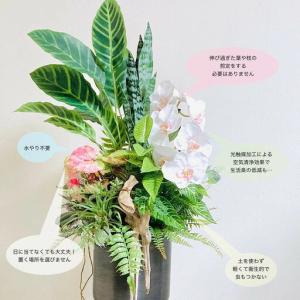 ふるさと納税 人工観葉植物 天然流木アート『カ...の詳細画像1