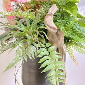 ふるさと納税 人工観葉植物 天然流木アート『カ...の詳細画像2