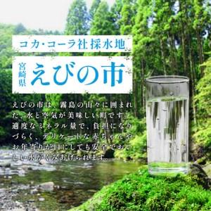 ふるさと納税 【2回定期便】やかんの麦茶 fr...の詳細画像3