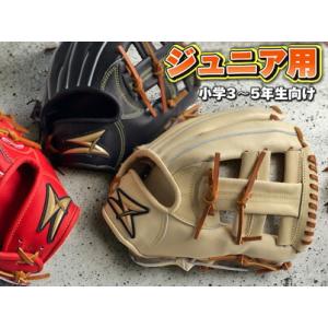 ふるさと納税 AO62 ミズノプロ 硬式用 宍粟牛グラブ 内野手用 坂本勇人
