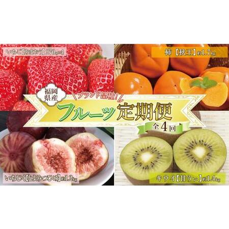 ふるさと納税 福岡フルーツ定期便A (あまおう・とよみつひめ・甘うぃ・秋王)【全4回】 福岡県大川市