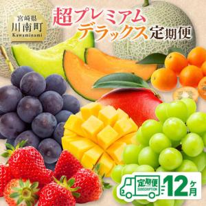 ふるさと納税 【 12ヶ月定期便 】 超 プレミアム デラックス 定期便 【 川南町産 くだもの きんかん いちご 完熟 マンゴー ぶどう ピオーネ シャ.. 宮崎県川南町